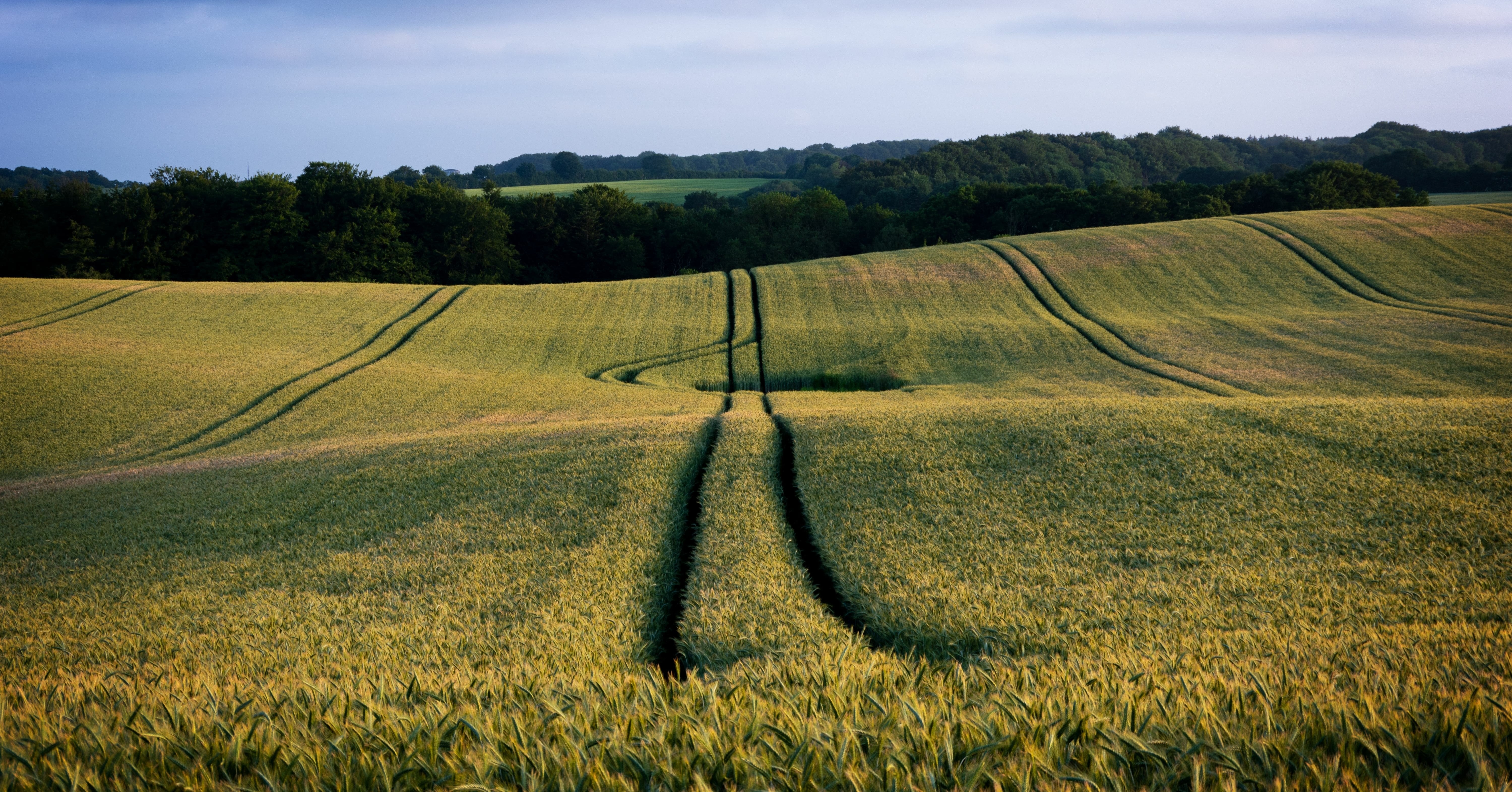 profitable farming