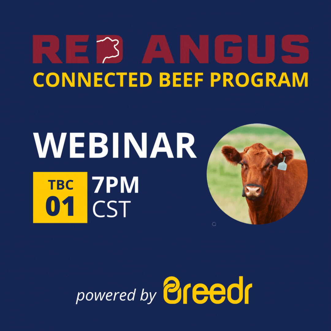 Buy Back Webinar 1080 x 1080 Buy Back Webinar 1080 x 1080