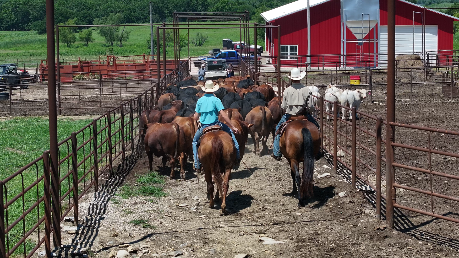 Cowboys_4.1.1