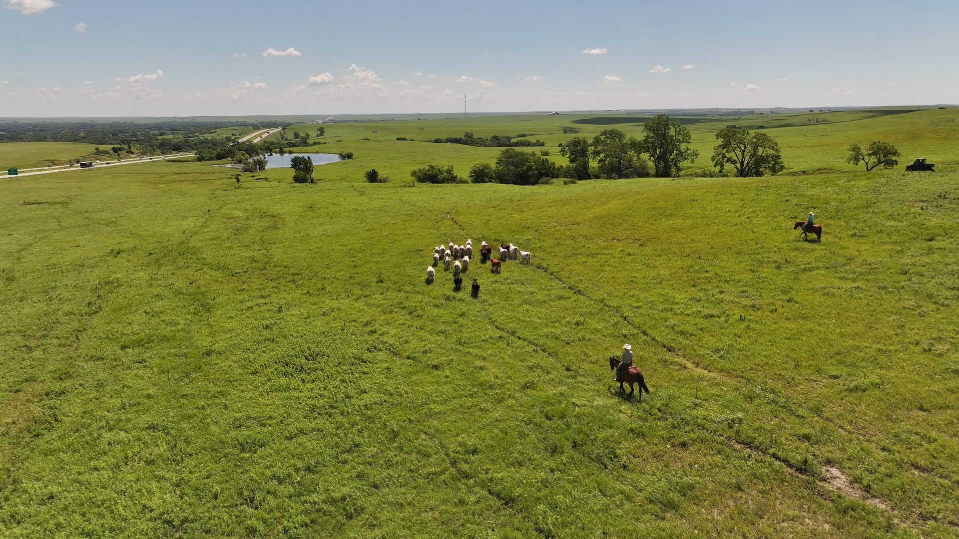 Drone 3_3.38.1