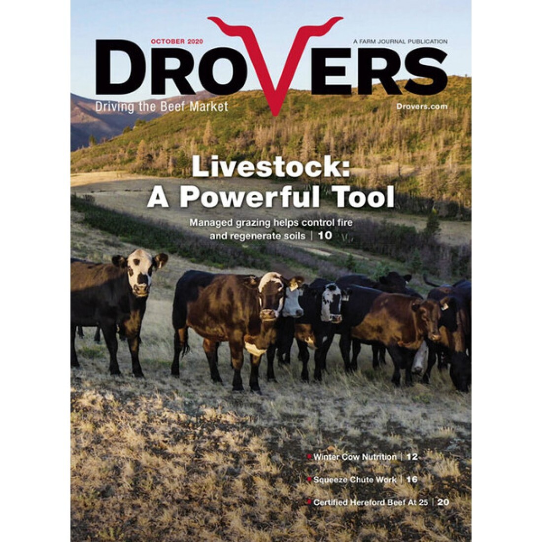 Drovers-Cattle-Network-Magazine-Cover-1100x1100h