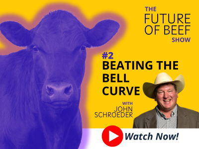 FOB email module - 2. Beating the Bell Curve-1