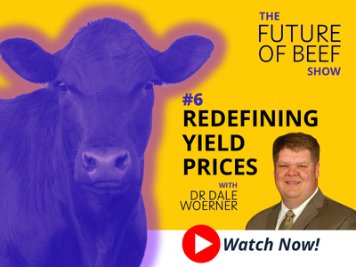 FOB email module - 6. Redefining Yield Prices-3