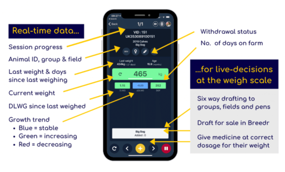 Diagram showing the functions of Breedr's Crush Mode tool