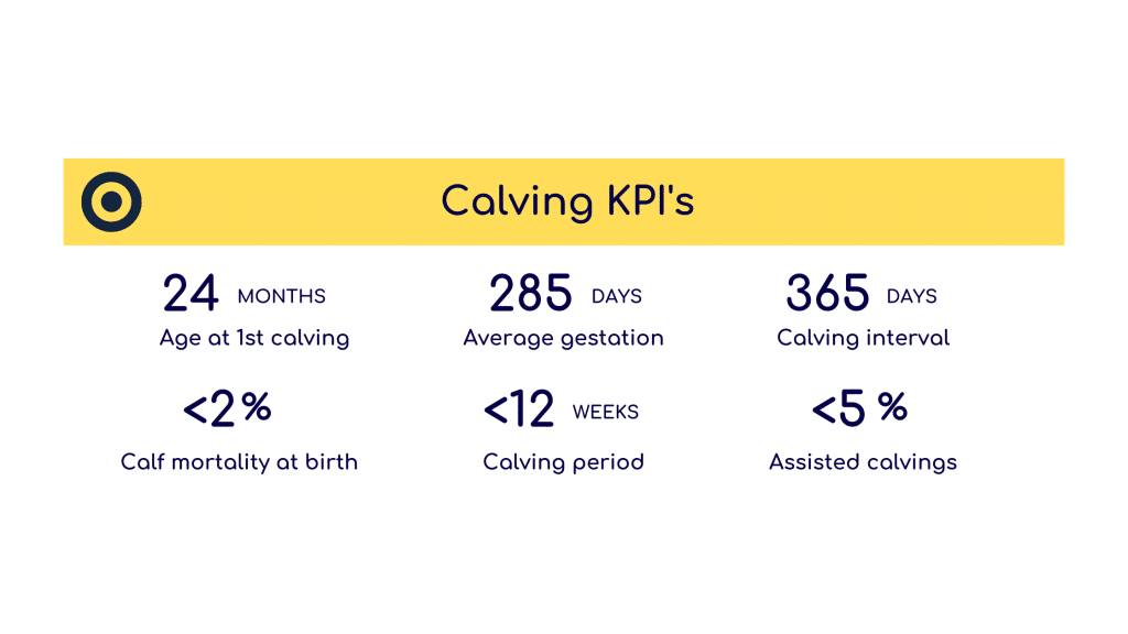 Breedr's SucklerClub calving KPIs from the breeding calendar.