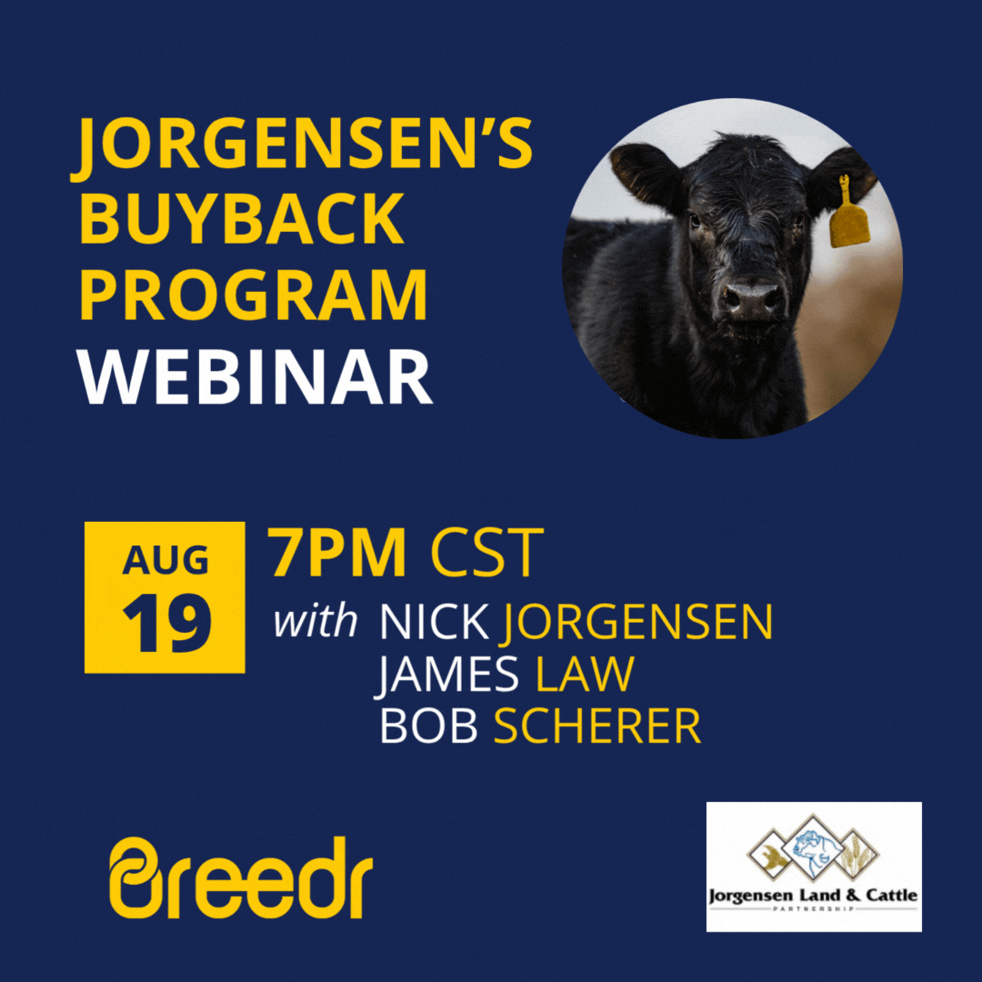 Jorgensens Buy Back Webinar 1080 x 1080-1