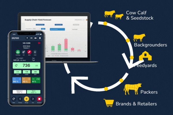 Farm management software & livestock trading | Breedr
