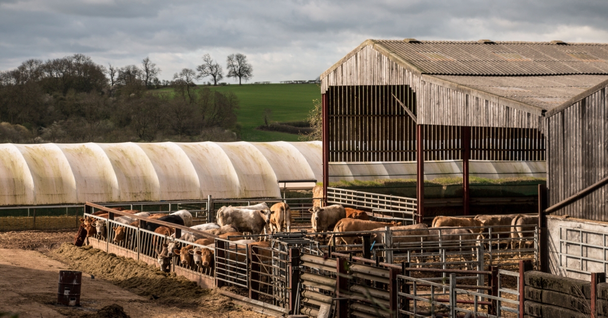 running a farm