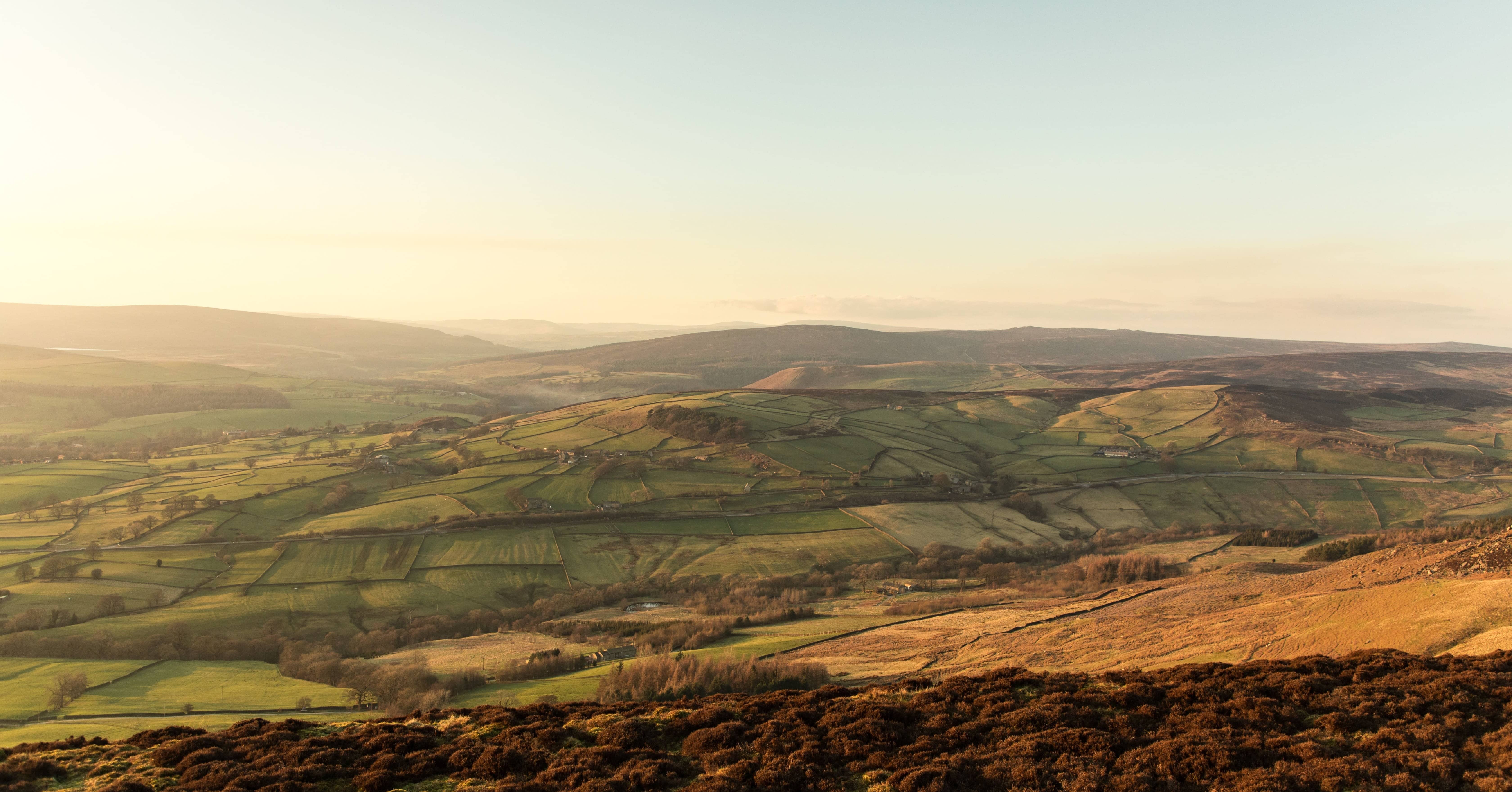 countryside stewardship grants